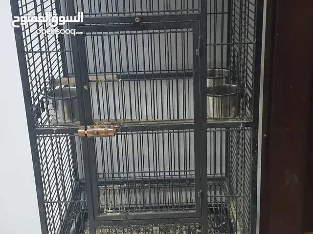 big cage for sale