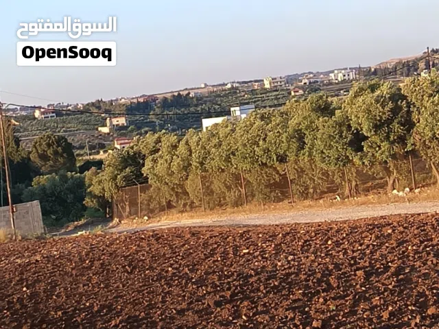 10دنمات ناعور بيت زرعه اجمل احواض ناعور عشارعين