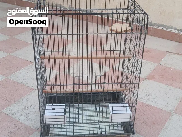 لبيع قفص ببغاء