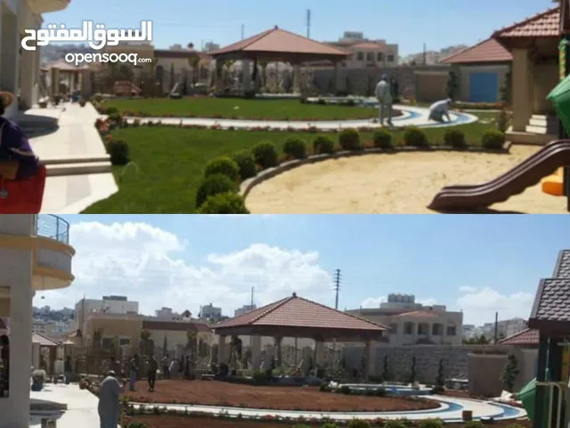 نجيل طبيعي للحدائق أمريكي M5 - عرض لفتره محدوده شامل التوصيل والزراعه