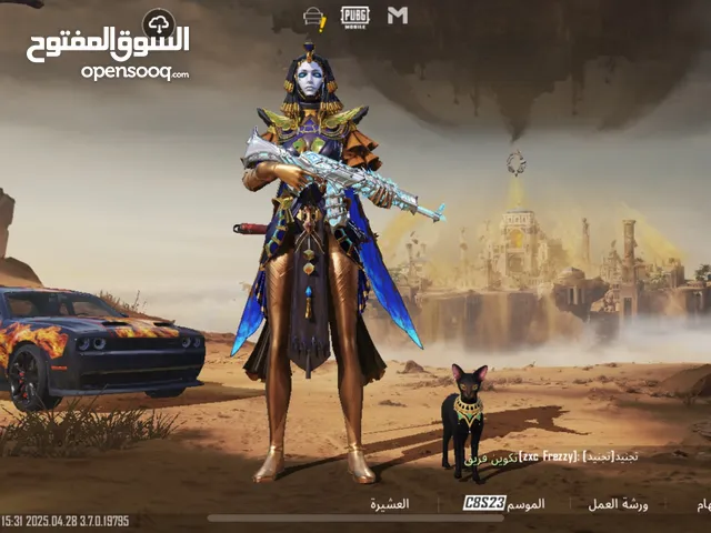 حساب ببجي للبيع