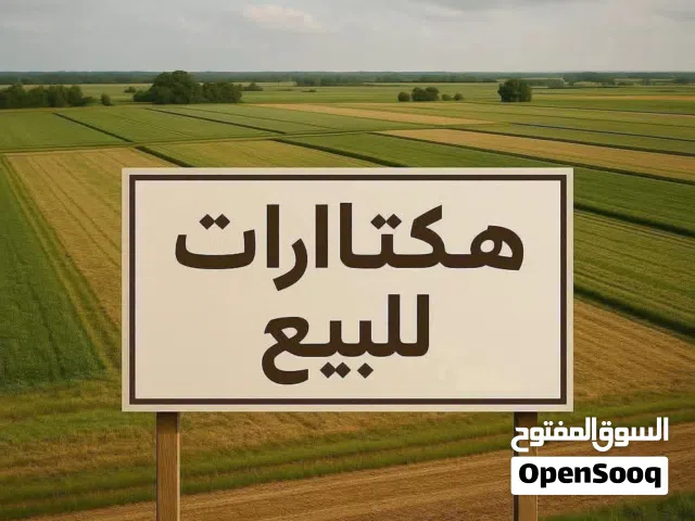 9 هكتار للبيع نهاية شارع الكرتون