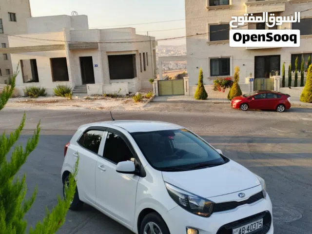 2019 كيا بيكانتو EX