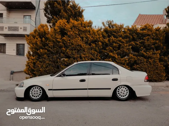Other 13 Rims in Amman