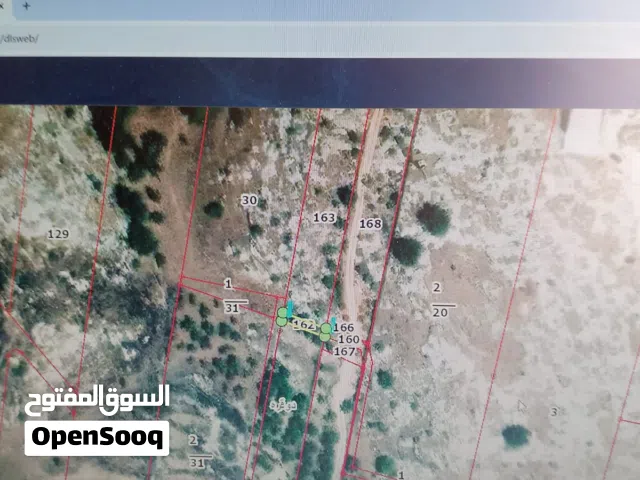 إعلان بيع قطعة أرض زراعيه