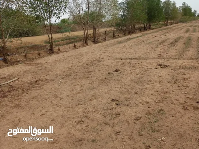 مزرعه
للبيع السليت شمال ترعه 9