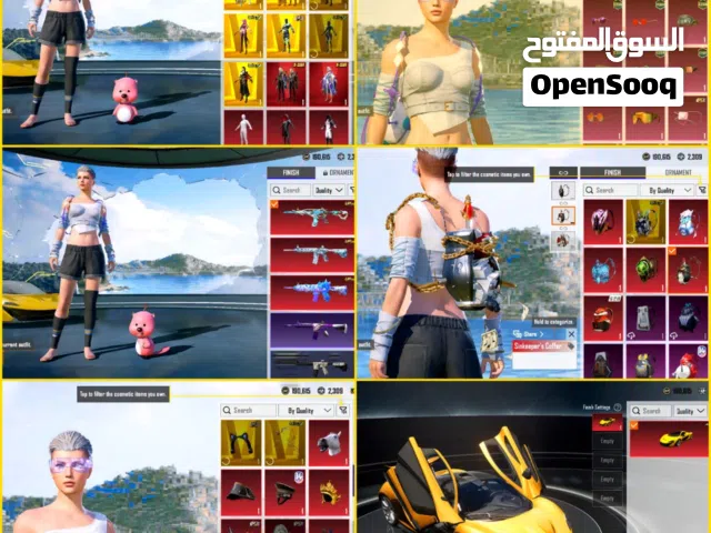 rare inventory wiith xsuite lvl 4