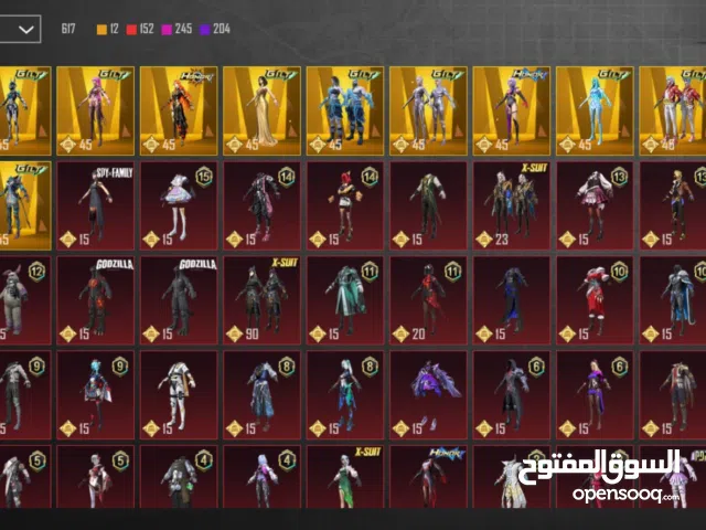 Pubg Accounts and Characters for Sale in Irbid