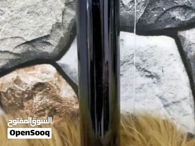 لدينا مستحضر عشبي يقضي على حشرات الشعر كالقمل والبيض بضمان