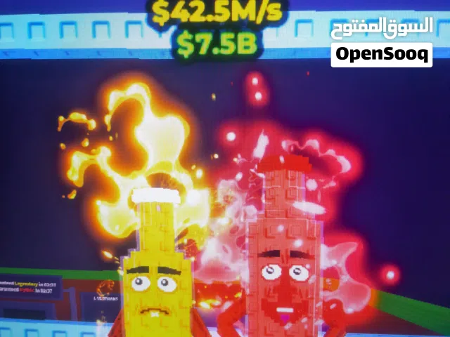 ketchuru and Musturu 42.5m