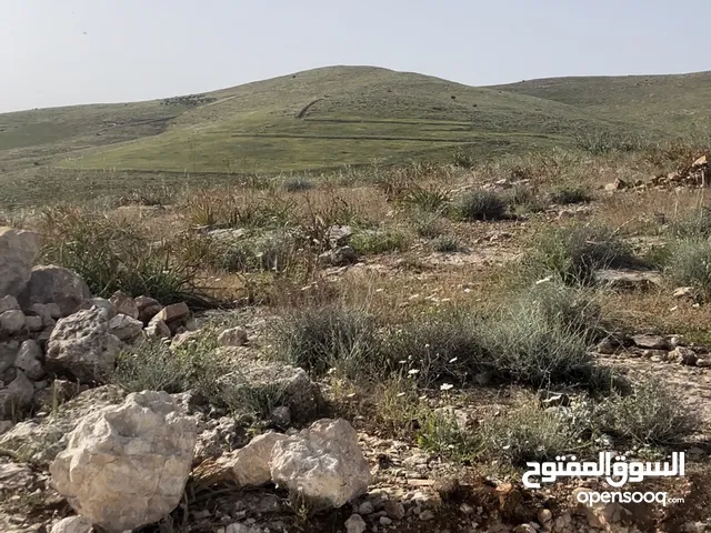 Farm Land for Sale in Mafraq Ain wa Al-Ma'mariyyeh
