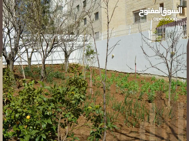 730 m2 More than 6 bedrooms Villa for Sale in Amman Al Rabiah
