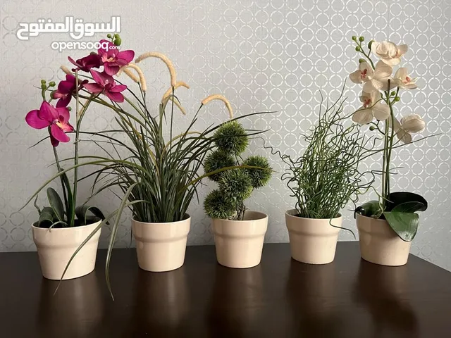 5 artificial plants