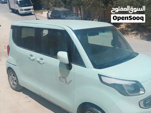 2013 كيا راي EV