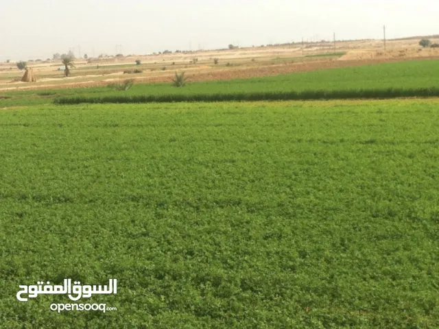 Mixed Use Land for Sale in Irbid Aydoun