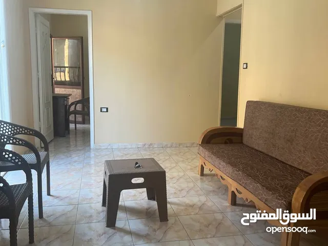 شقة مفروشة سوبر لوكس للإيجار بالمنصورة - حي الجامعة أمام القرية الأولمبية وأحمد ماهر
