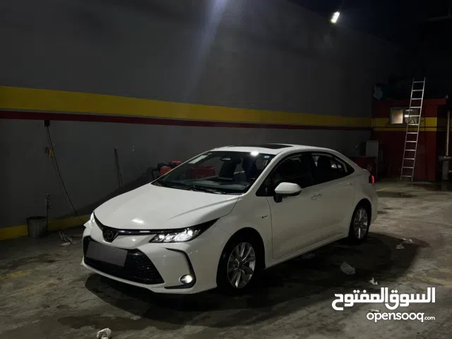 Used Toyota Corolla in Najaf