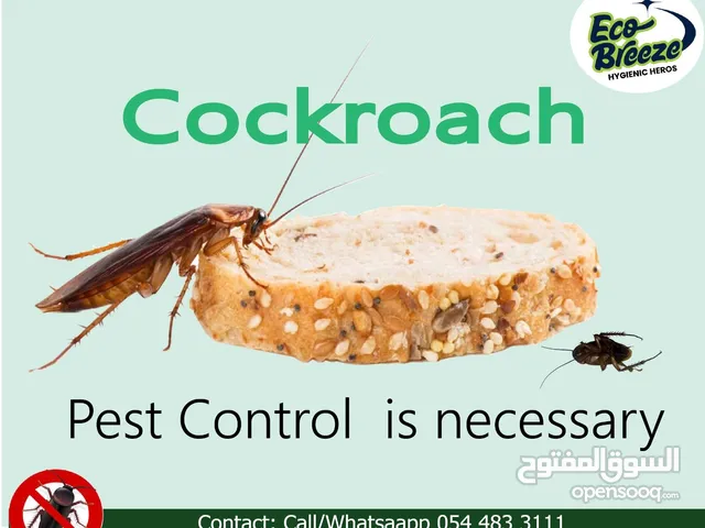 Pest Control Services Dubai, Guaranteed and DM approved.