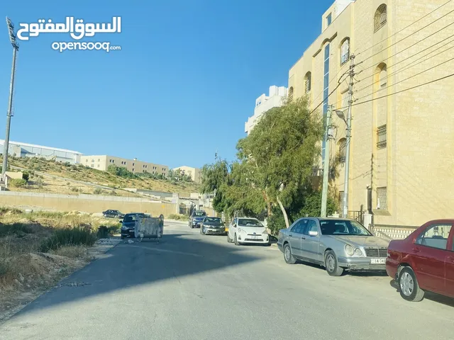 75 m2 Studio Apartments for Rent in Amman Shafa Badran