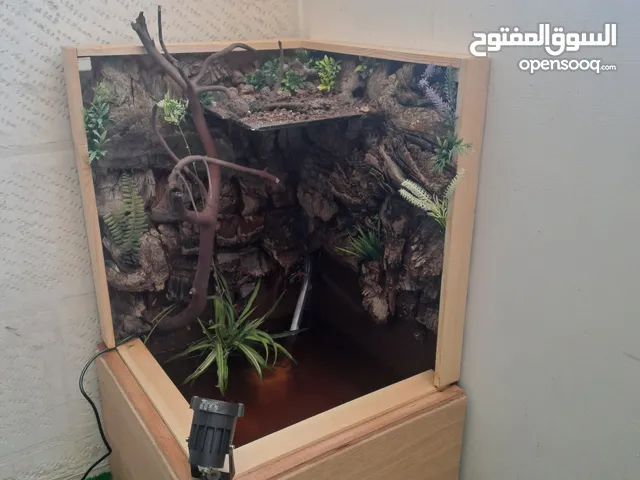 نافورة وحوض سمك