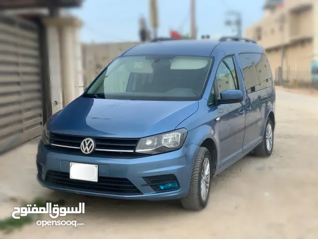 كادي 2016 شصي طويل