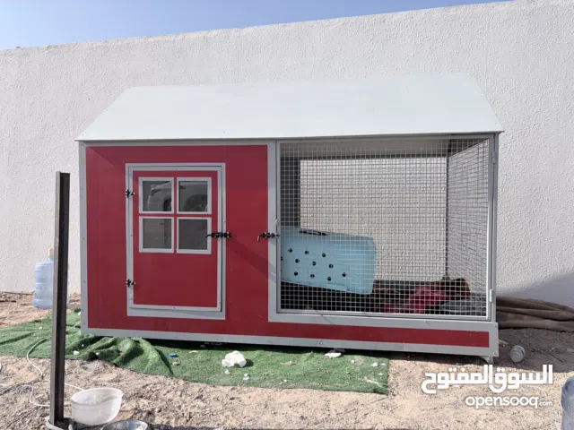 بيت شبه جديد للكلاب الطول 3x2 مع مكيف ثلاثه طن صحراوي مع عازل للحراره والبيت هاي كولتي