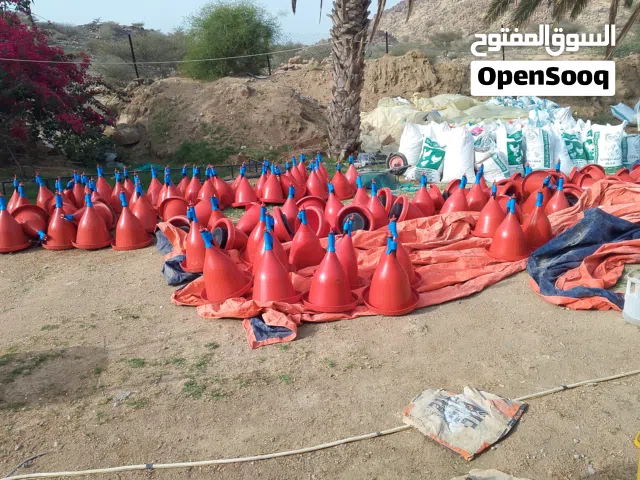 شركة مكافحة حشرات وأعمال اللاند سكيب وتوريدات الزراعة