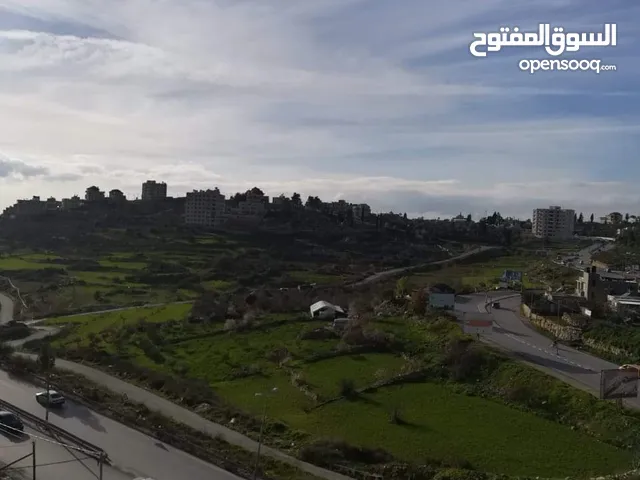 روف للإيجار/ شارع البيرة- سردا الرئيسي