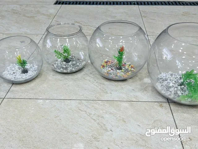 عروض على باولات واحواض سمك