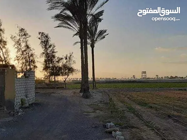 Mixed Use Land for Sale in Alexandria Amreya