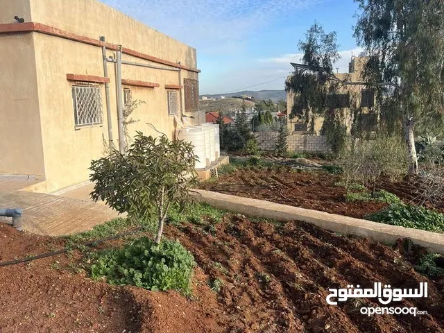 3 Bedrooms Farms for Sale in Zarqa Al-Qnaiya