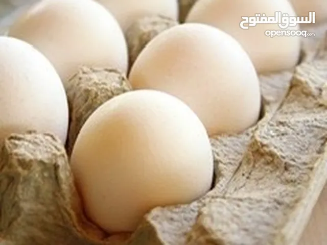 بيض عماني 100٪؜