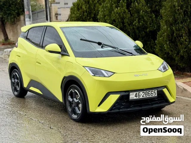 2023, بي واي دي, سيجول