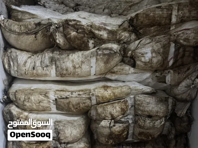 تمر نفيعة نضد للبيع