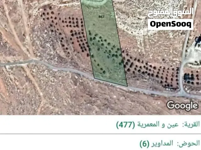 Farm Land for Sale in Mafraq Ain wa Al-Ma'mariyyeh