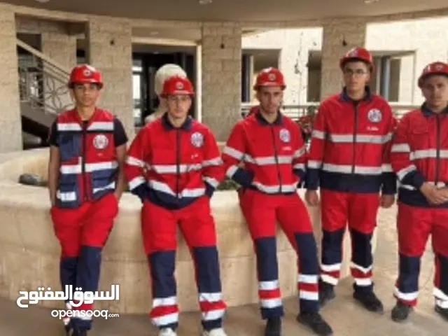 نيكولاس مفيد لولص