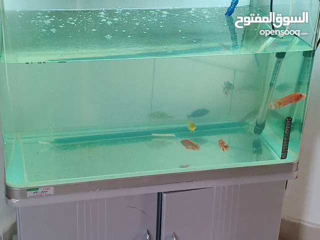 حوض سمك للبيع 150دينار من الأخر