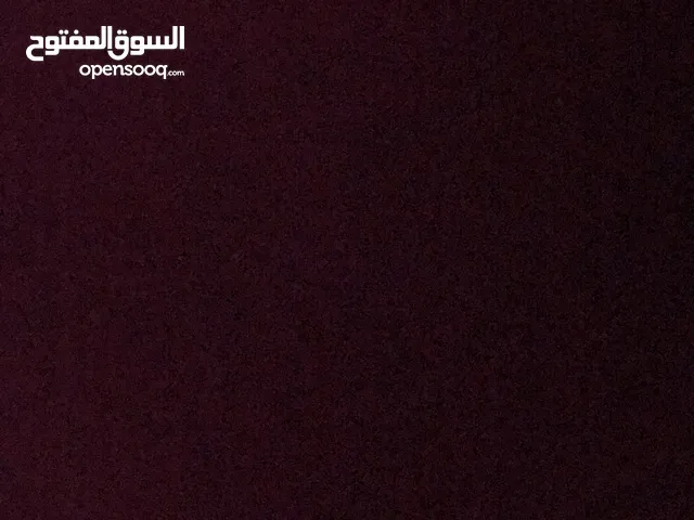 الاء محمد عبد الهادي مزهر