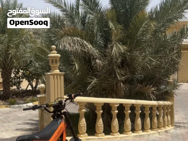 2026 اخرى اخرى