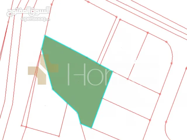 Commercial Land for Rent in Amman Medina Street
