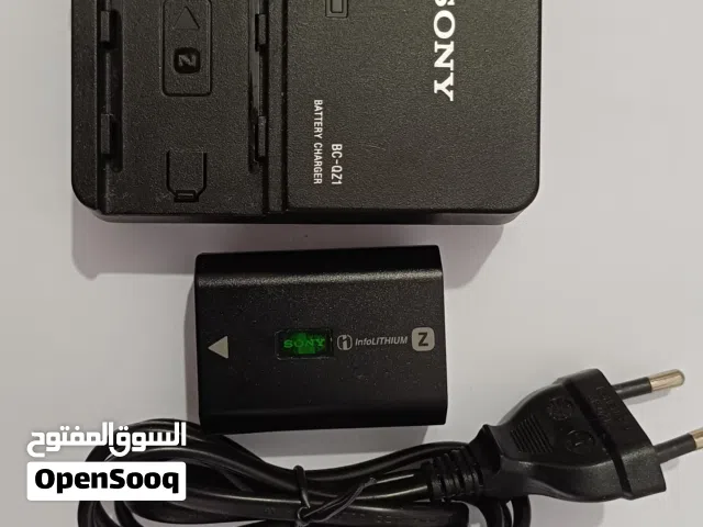 Sony Battery & Charger