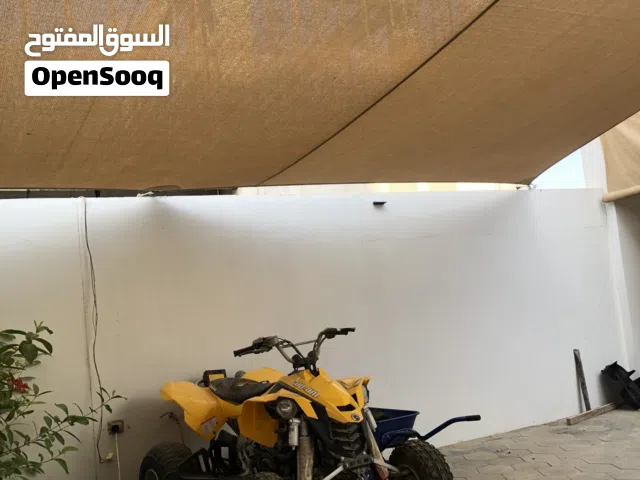 2010 ياماها أخرى