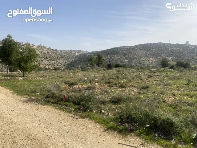 Mixed Use Land for Sale in Ramallah and Al-Bireh Dayr Al-Sudan