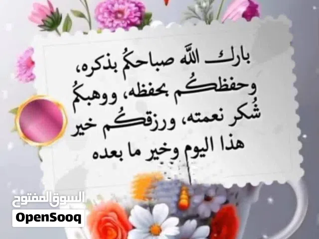 عقار تجارى فى شبنه سعر فرصه