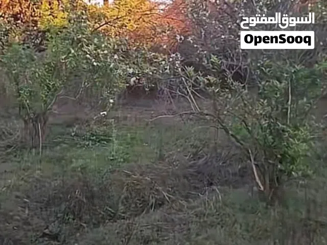 Farm Land for Sale in Saladin Balad