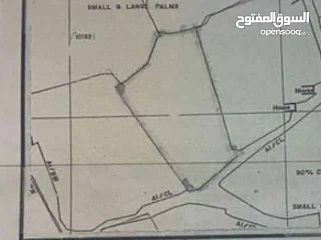Farm Land for Sale in Buraimi Al Sinainah