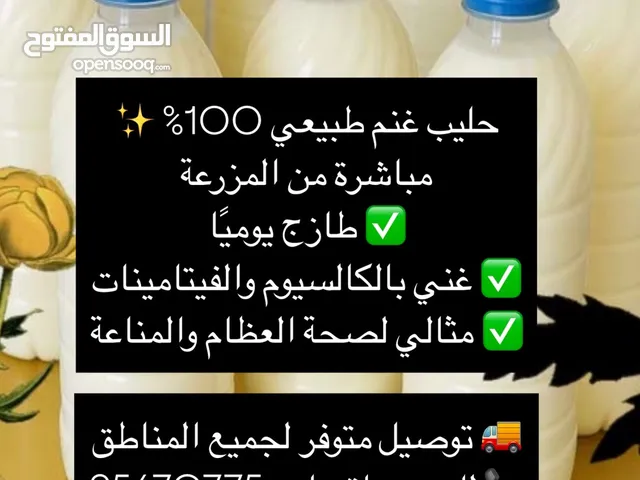 حليب غنم طبيعي