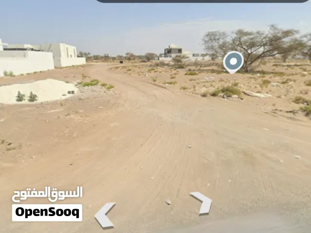 ارضين شبك في العقدة
