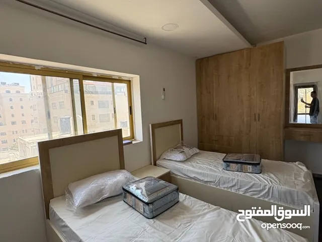 استوديو مفروش للايجار الماصيون