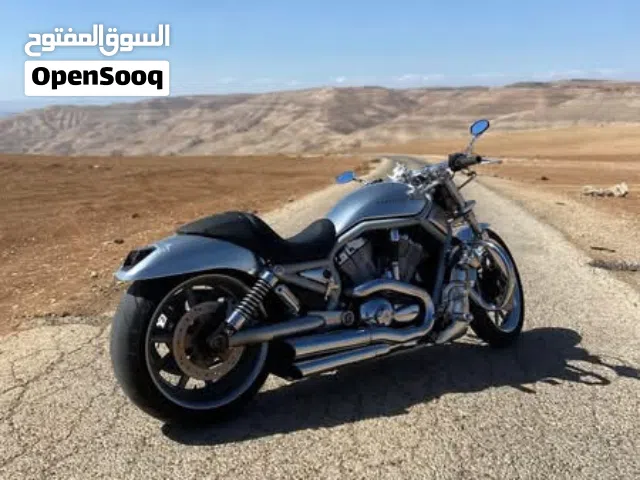 2002 هارلي ديفيدسون أخرى